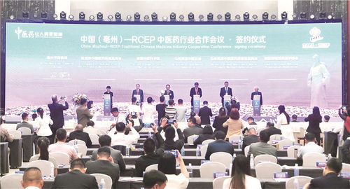 足跡遍五洲,亳藥加快 出海之旅 藥 向未來(lái) 特別報(bào)道之一